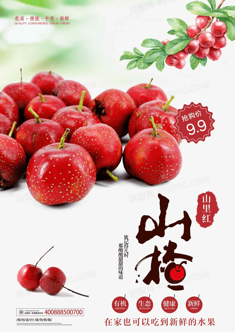 新鲜山楂水果海报设计