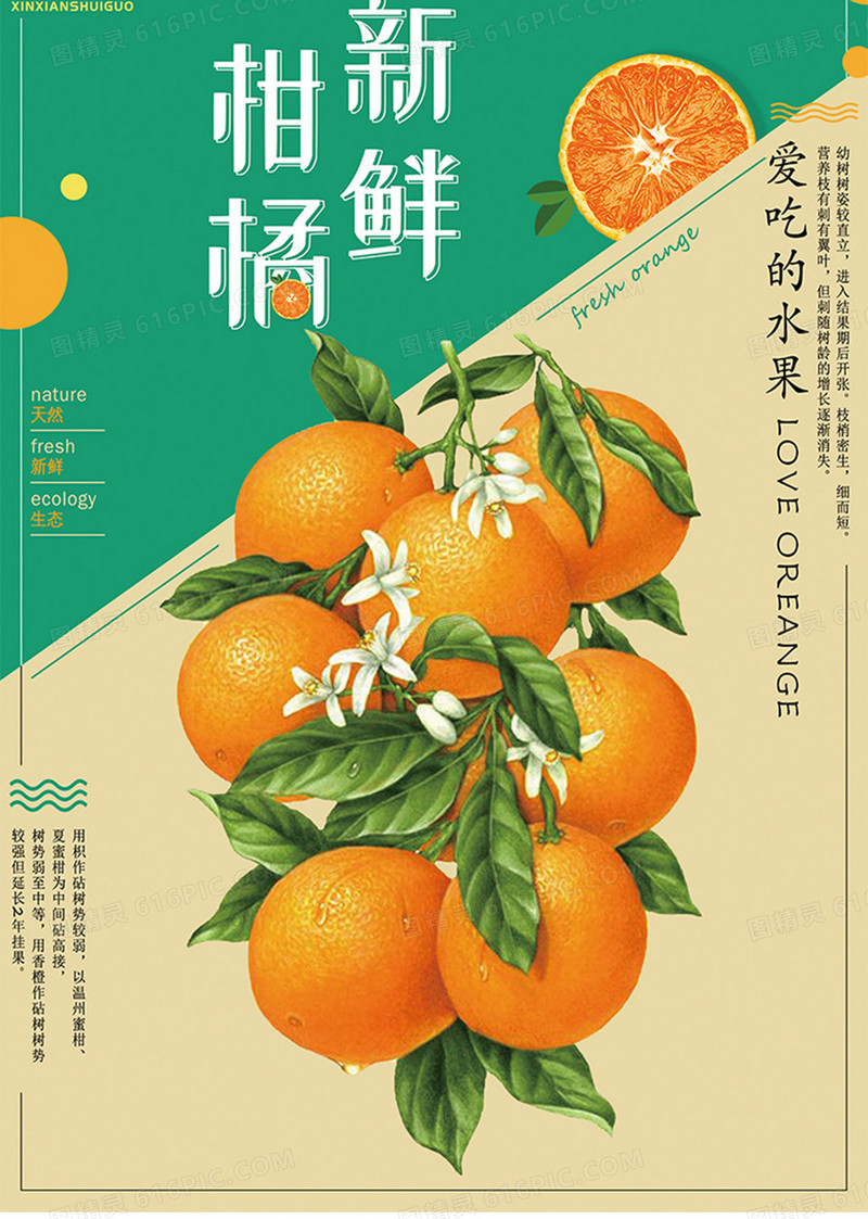 新鲜柑橘水果宣传海报