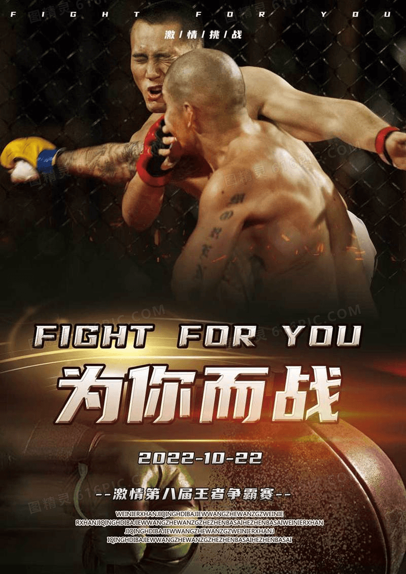 为你而战拳击大赛海报