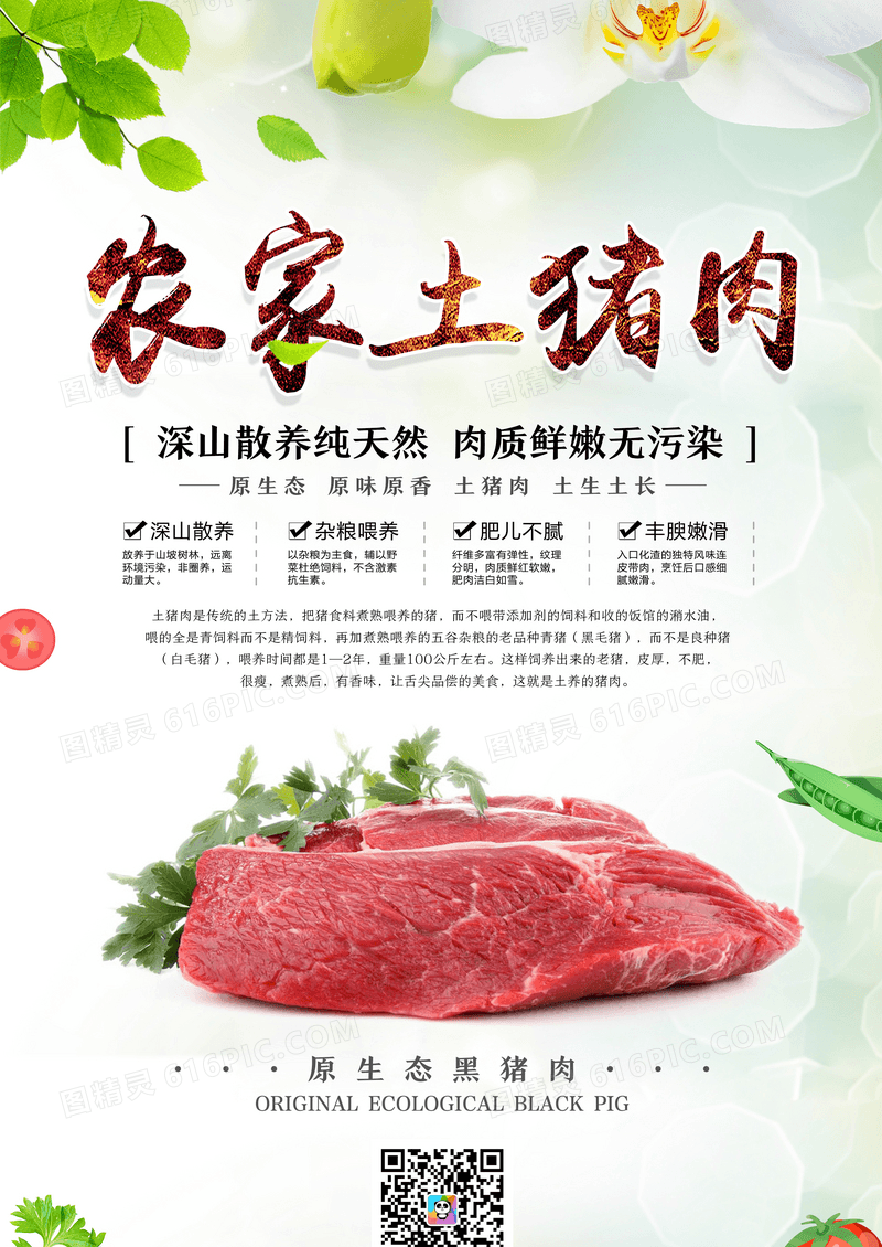 绿色农家土猪肉宣传海报