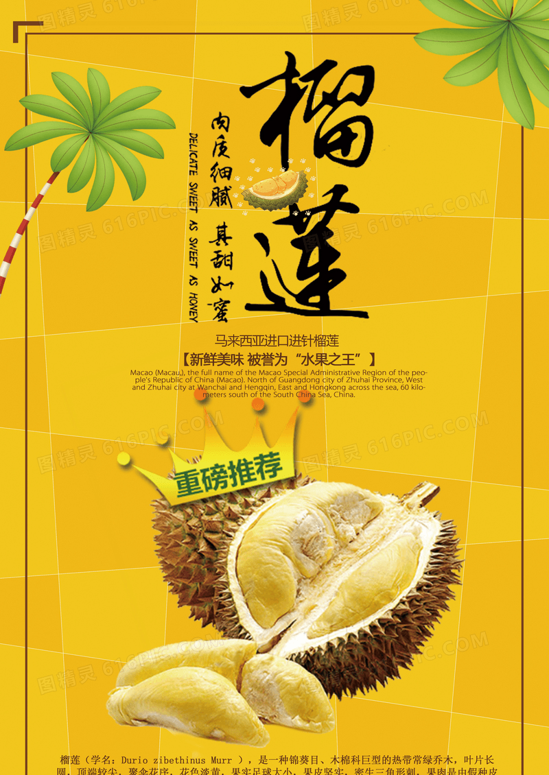 简约水果之王榴莲宣传海报设计