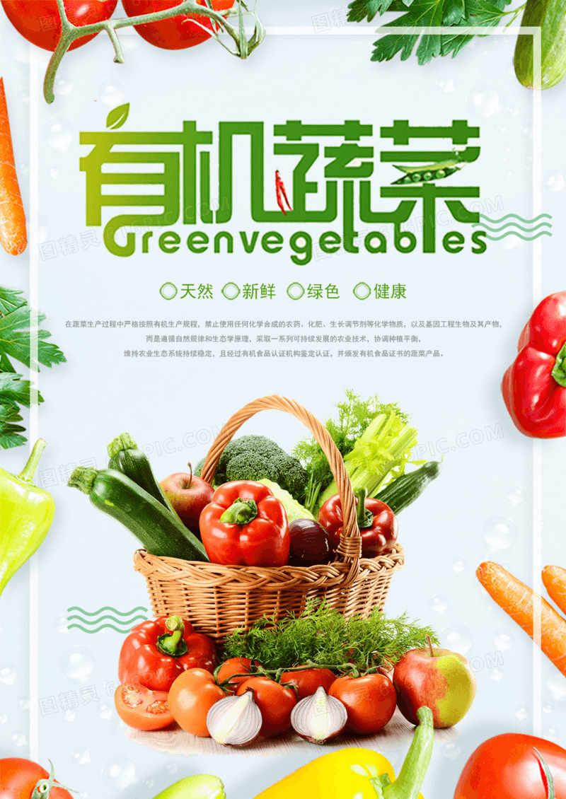 现摘有机蔬菜海报